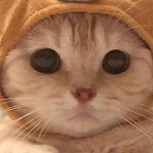 สมาชิกหมายเลข 2277476