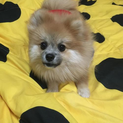 สมาชิกหมายเลข 4180771