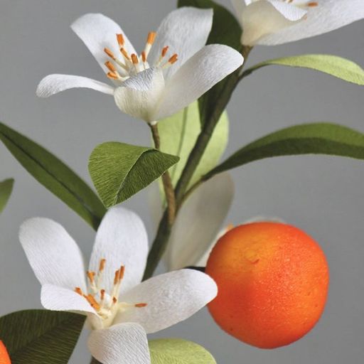 สมาชิกหมายเลข 8350765