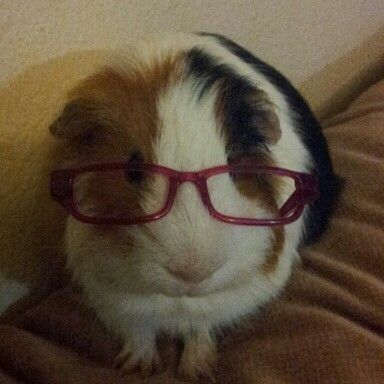 สมาชิกหมายเลข 9260715