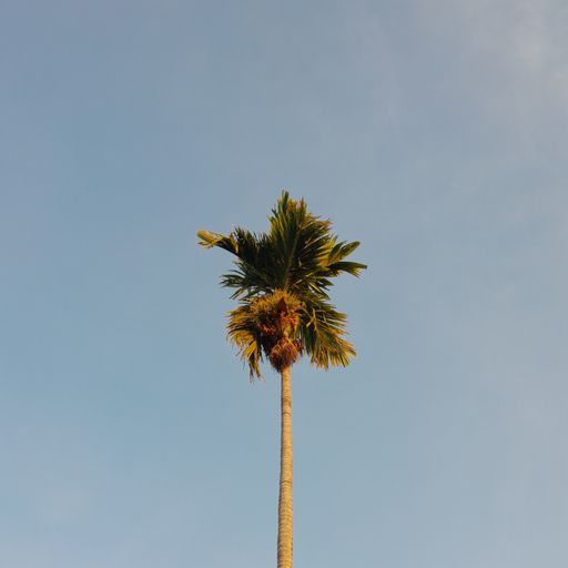 สมาชิกหมายเลข 9261476