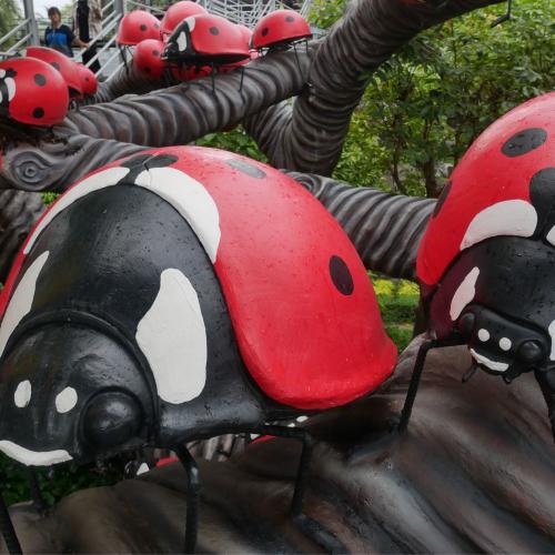 สมาชิกหมายเลข 4586324