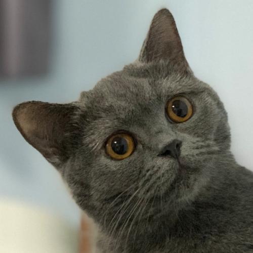 สมาชิกหมายเลข 1404772