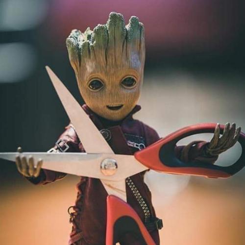 สมาชิกหมายเลข 5314385