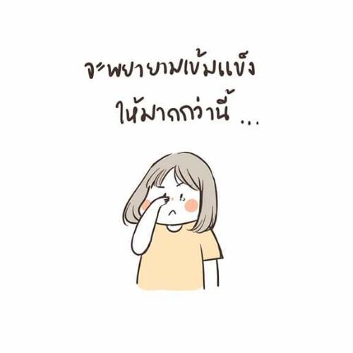สมาชิกหมายเลข 5330422