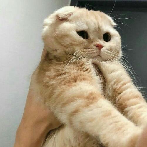 สมาชิกหมายเลข 5330486