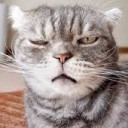 สมาชิกหมายเลข 5330613