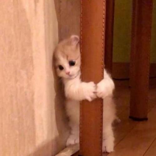 สมาชิกหมายเลข 6401487