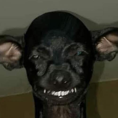 สมาชิกหมายเลข 1063959