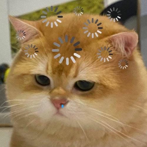 สมาชิกหมายเลข 3632176