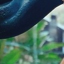 สมาชิกหมายเลข 3175066