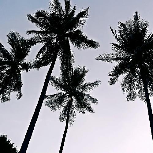 สมาชิกหมายเลข 825863