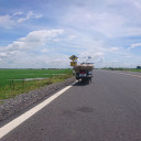 สมาชิกหมายเลข 1197587