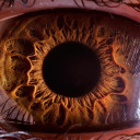 สมาชิกหมายเลข 3815900