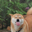 สมาชิกหมายเลข 4572778