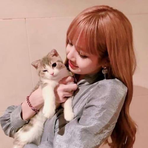 สมาชิกหมายเลข 2704191