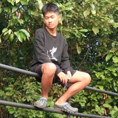 สมาชิกหมายเลข 4906311