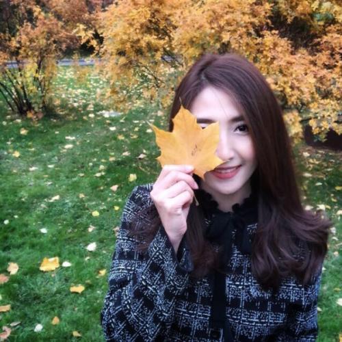 แมวเหมียวสี่ตัว