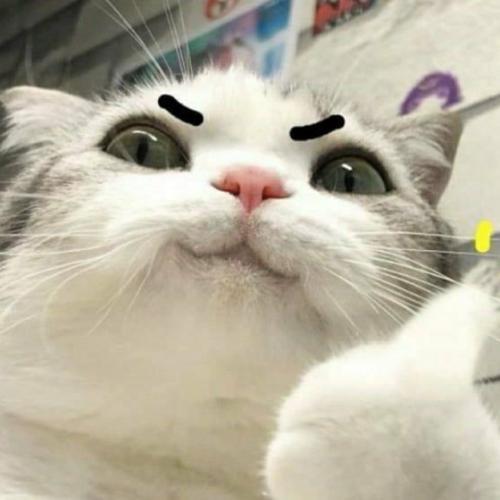 สมาชิกหมายเลข 5406904