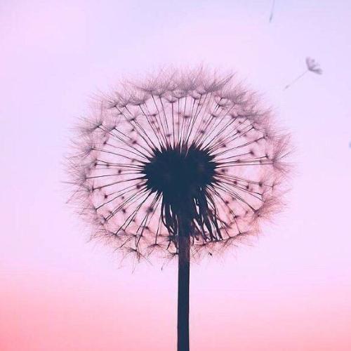 สมาชิกหมายเลข 6402228