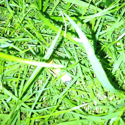 สมาชิกหมายเลข 7256364