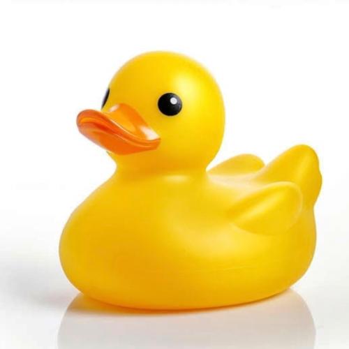 สมาชิกหมายเลข 7806791