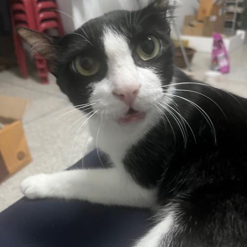 สมาชิกหมายเลข 1290046