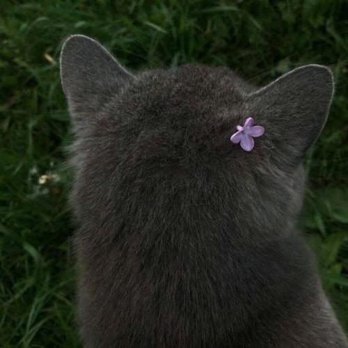 สมาชิกหมายเลข 7679722