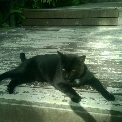 สมาชิกหมายเลข 6629462