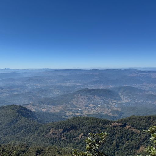 สมาชิกหมายเลข 6826102