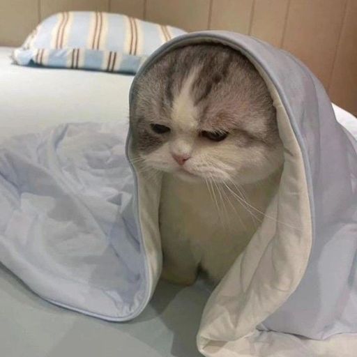 สมาชิกหมายเลข 8449202