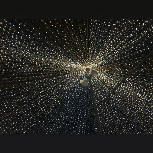 สมาชิกหมายเลข 3010976