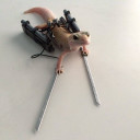 สมาชิกหมายเลข 4587166