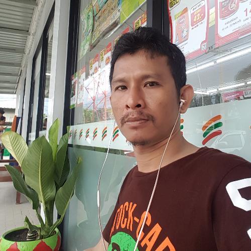 สมาชิกหมายเลข 4587178