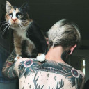 สมาชิกหมายเลข 4928589