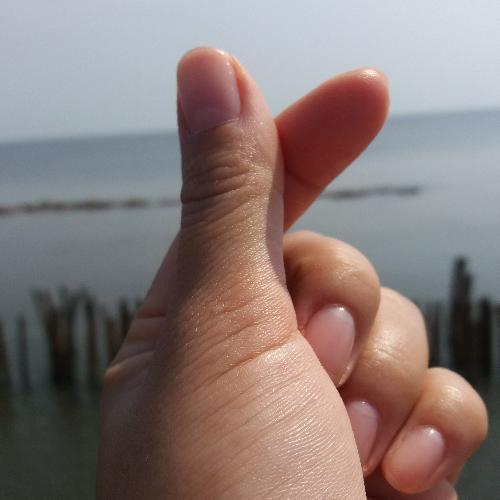 สมาชิกหมายเลข 4932504