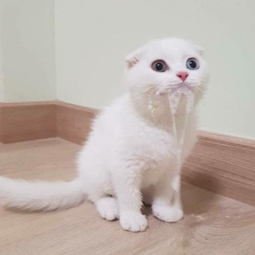 สมาชิกหมายเลข 4932649