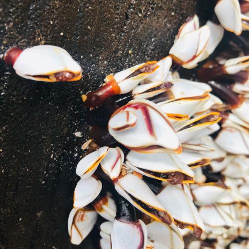 สมาชิกหมายเลข 5331132