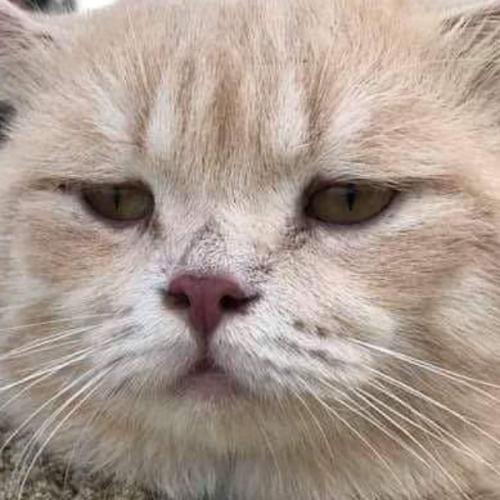 สมาชิกหมายเลข 5585743