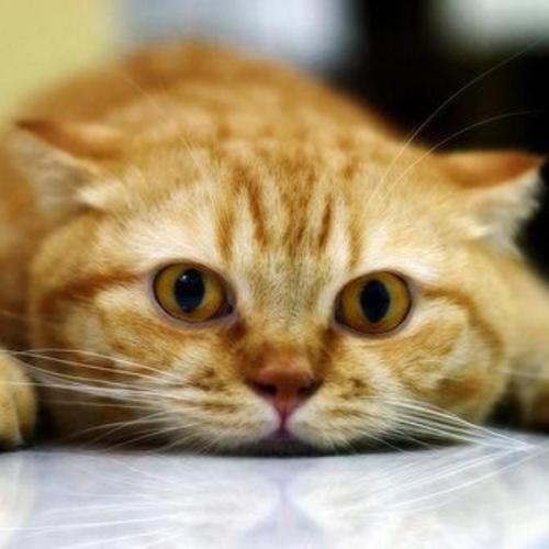 สมาชิกหมายเลข 5694421