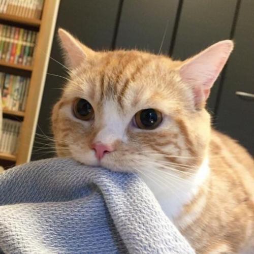 สมาชิกหมายเลข 5800282