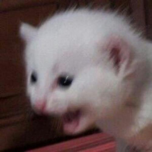 สมาชิกหมายเลข 5800592