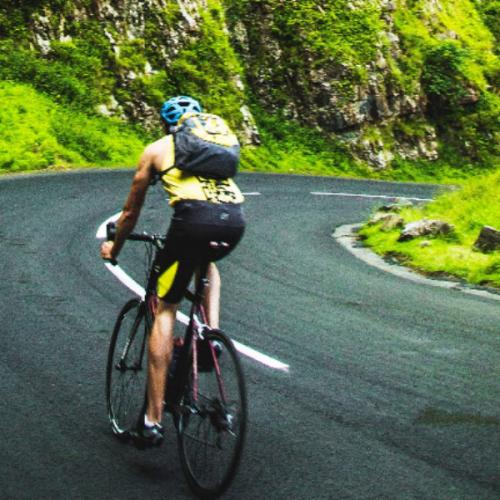 สมาชิกหมายเลข 6358237