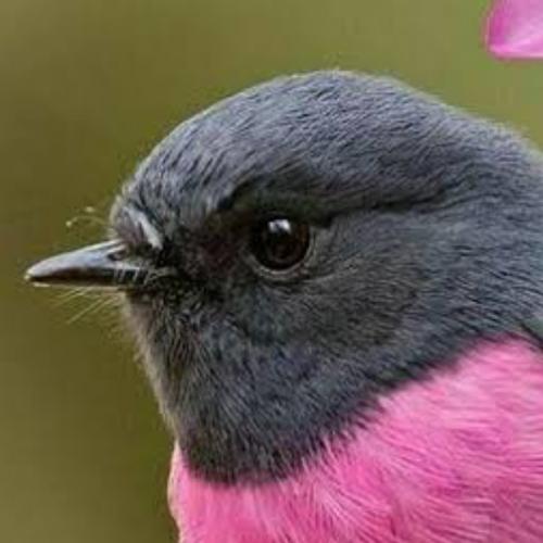 สมาชิกหมายเลข 6402240