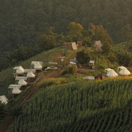 สมาชิกหมายเลข 6402908