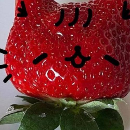 สมาชิกหมายเลข 6122552