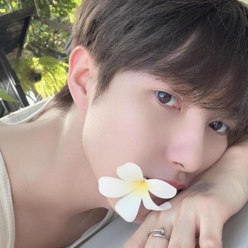 สมาชิกหมายเลข 6677232