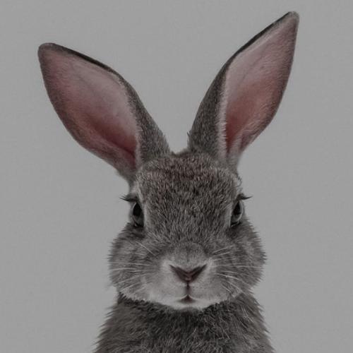 สมาชิกหมายเลข 7809099