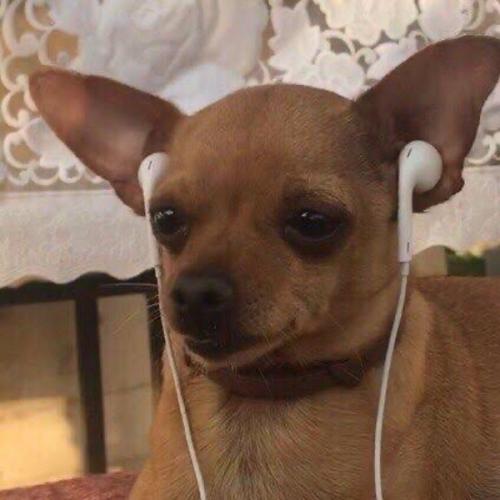 สมาชิกหมายเลข 8878922