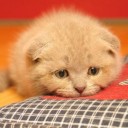 สมาชิกหมายเลข 3719235